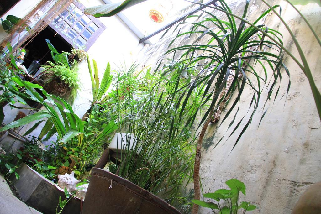 Moontree47 George Town Exterior foto