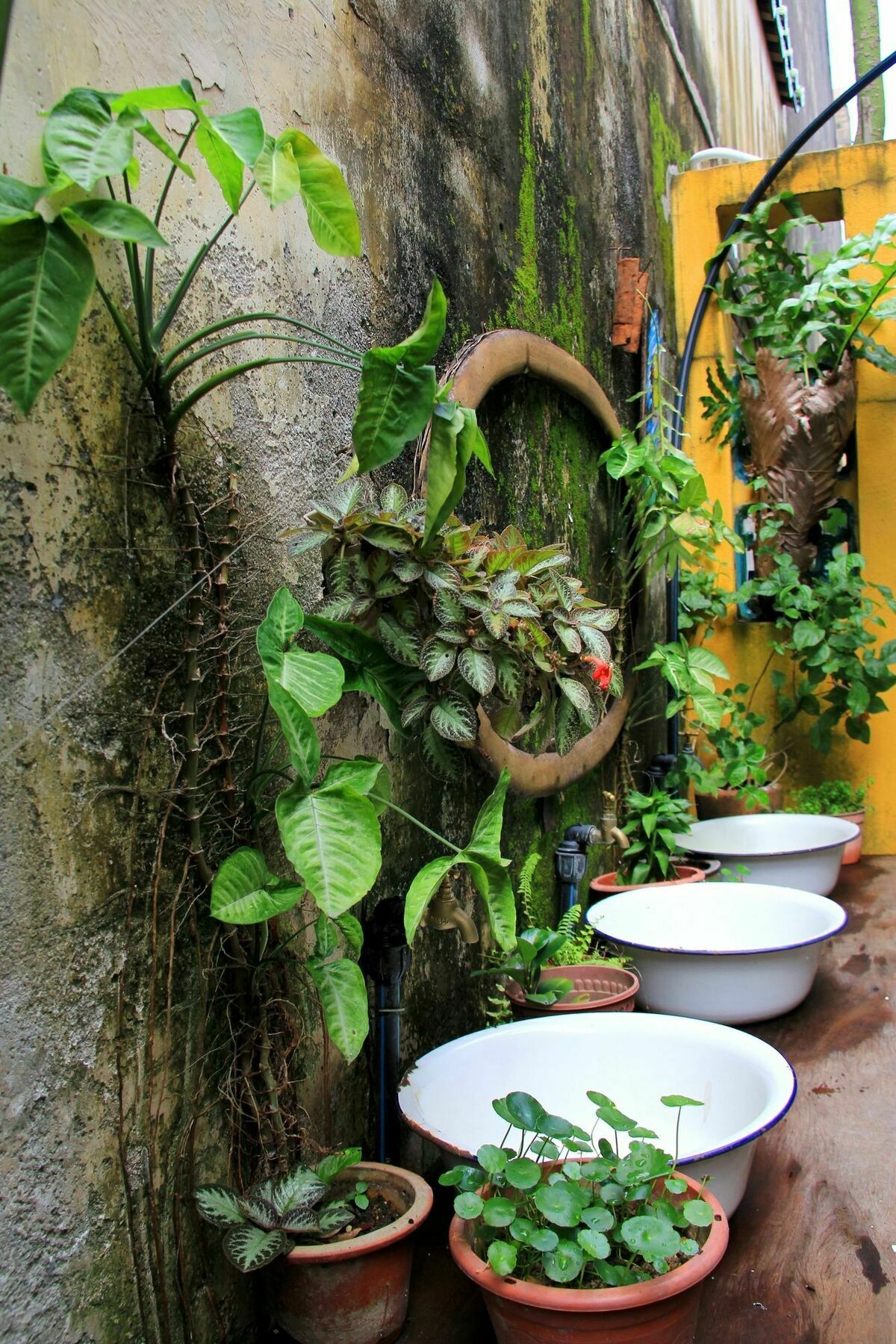 Moontree47 George Town Exterior foto
